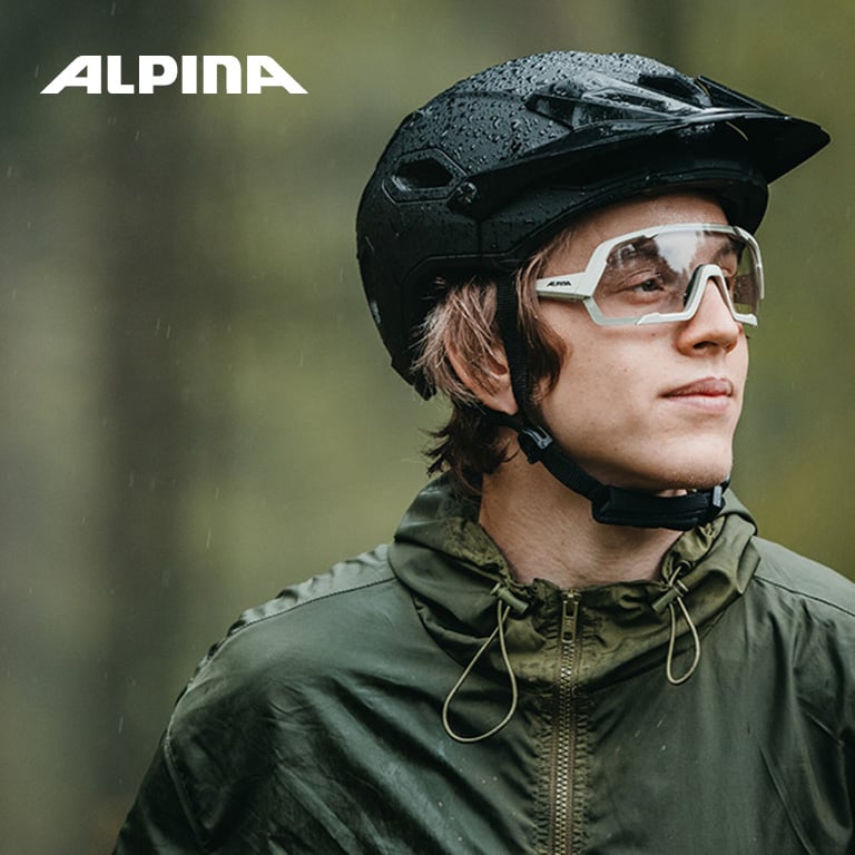 ALPINA_990x390.jpg