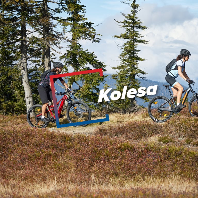 990x390_KOLESA.jpg