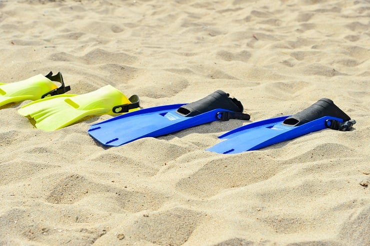 Različne vrste plavutk