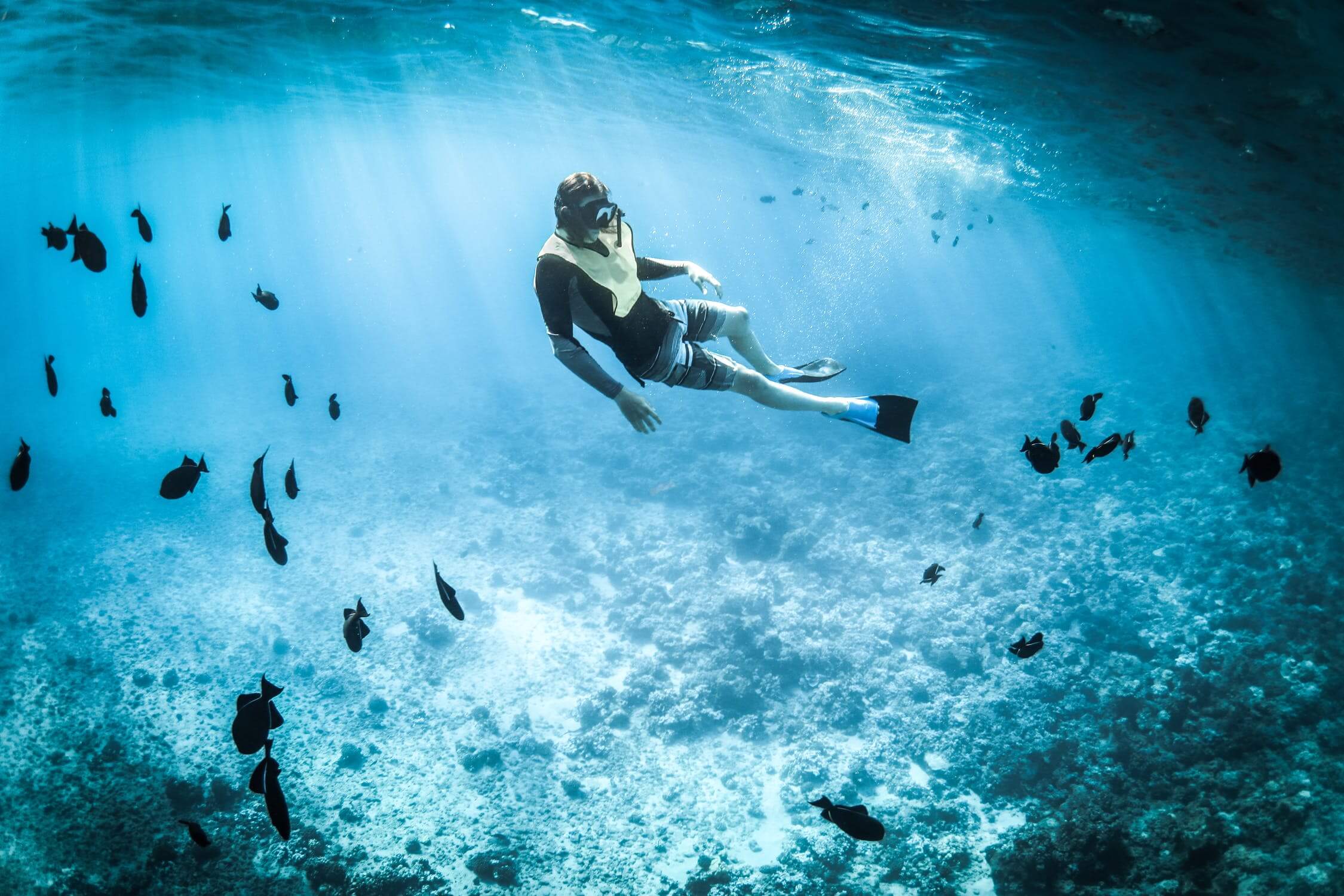 Snorklanje omogoča živahno raziskovanje morskega sveta.