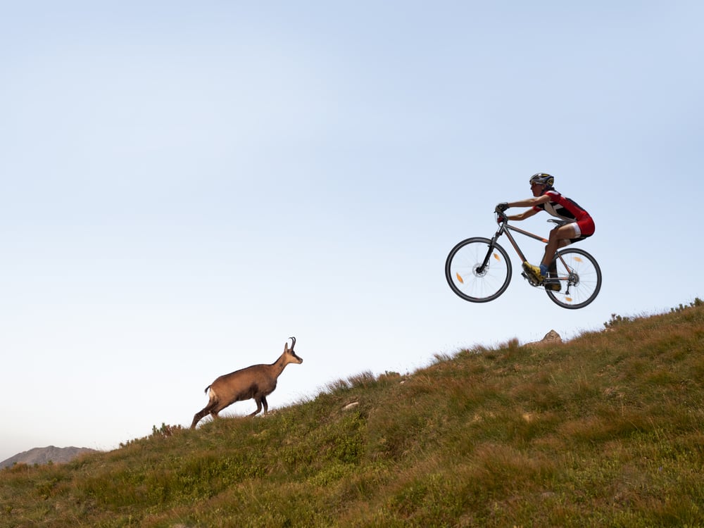 Kolesar na poti Kolesar na poti