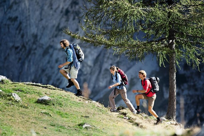 Znamke pohodnih čevljev