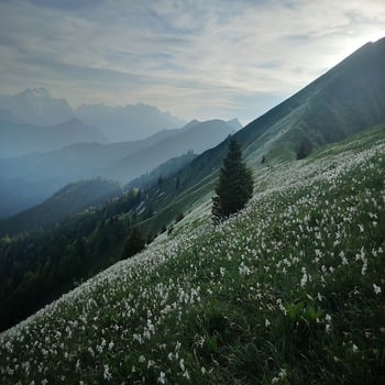 Otroška smučarska šola.