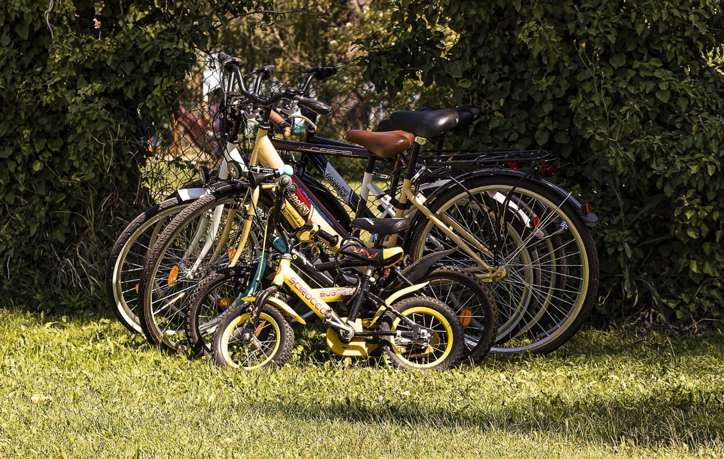 Ideje za kolesarske izlete