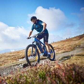 test Puch koles