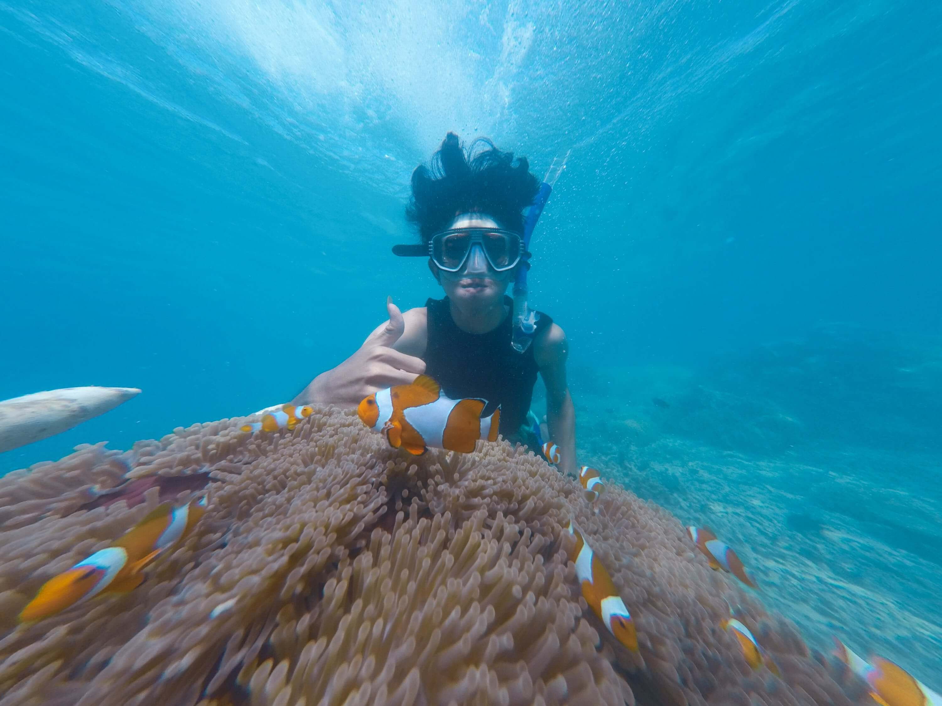 Oprema za snorklanje je izredno kompaktna. Spakirajte jo kar v mini nahrbtnik, če se odpravljate na kratek izlet. 